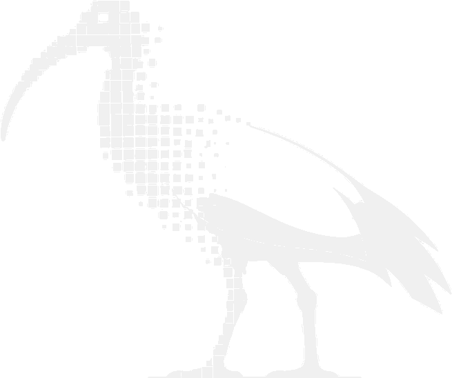 BinChicken